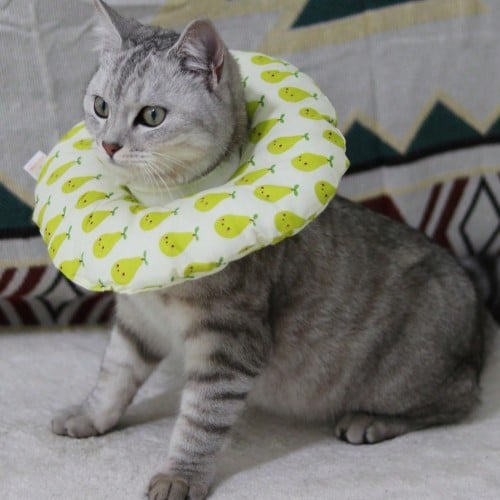 طوق طبي قماش ملون