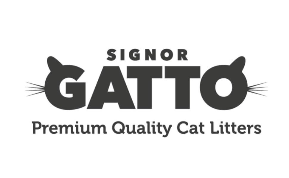 Signor Gatto
