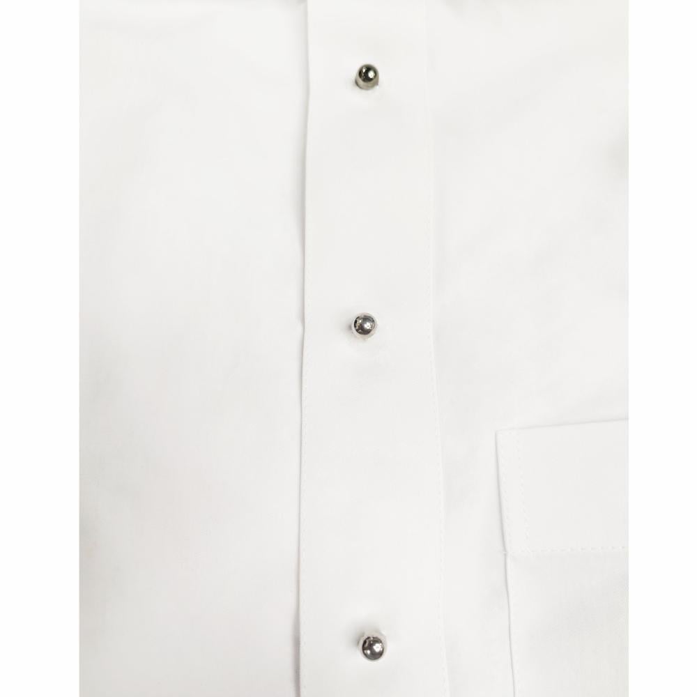silver magnet buttons