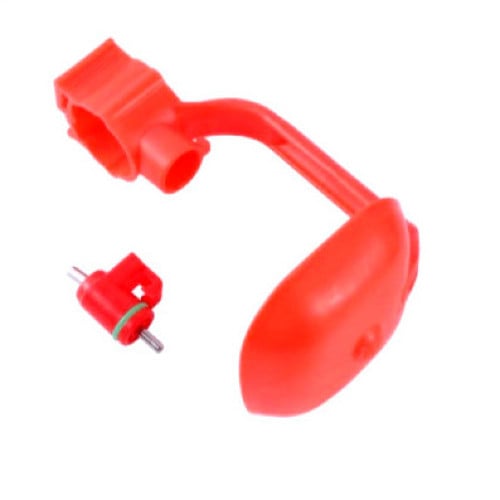 سقايه نبل للصوص والفروخ