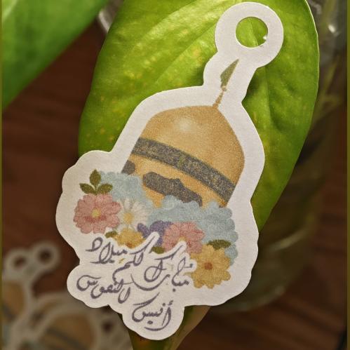 تاقات تعليق