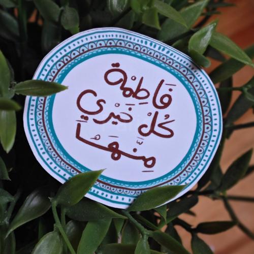 مغناطيسات منوعة