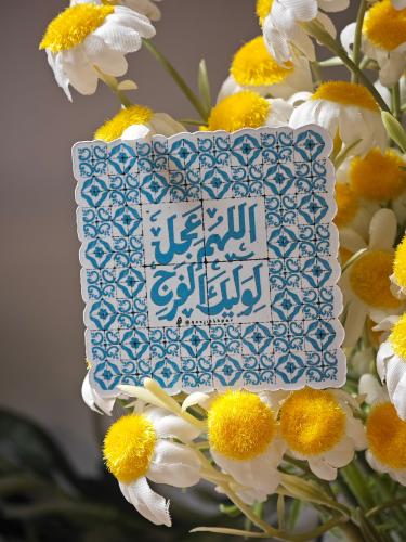 مغناطيس الثلاجة منوع