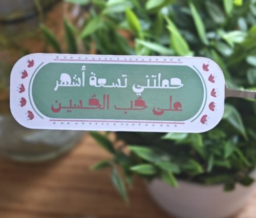 مغناطيس ثلاجة