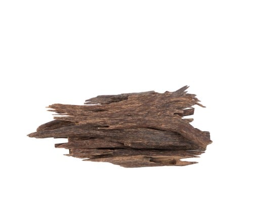 العود الأزرق (هندي)