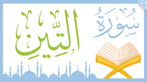 درس - سورة التين