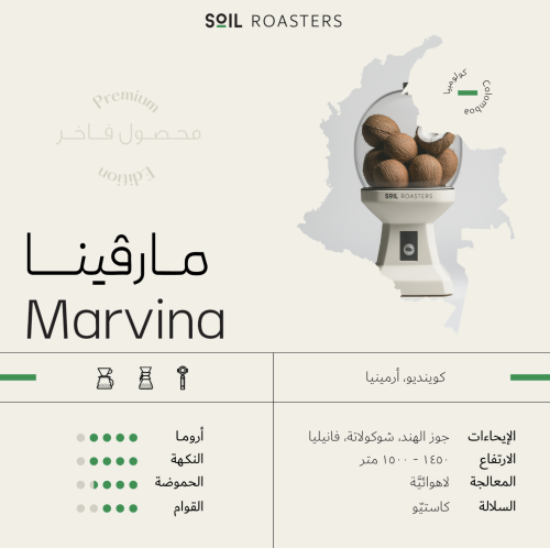 Marvina | مارفينا