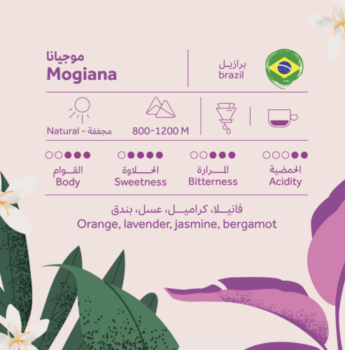 برازيلي - موجيانا - 250 جم