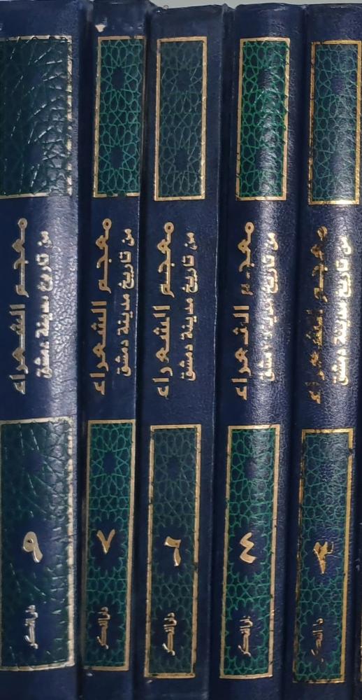 معجم الشعراء من تاريخ دمشق 7/1