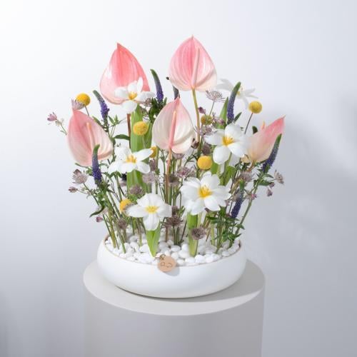 JAU ARRANGMENT