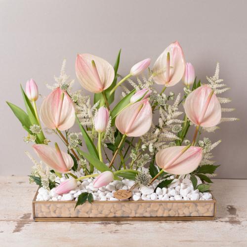 JAU ARRANGMENT
