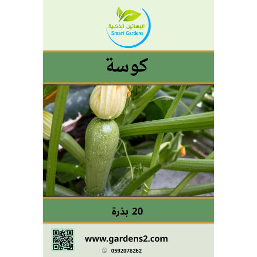 بذور كوسة