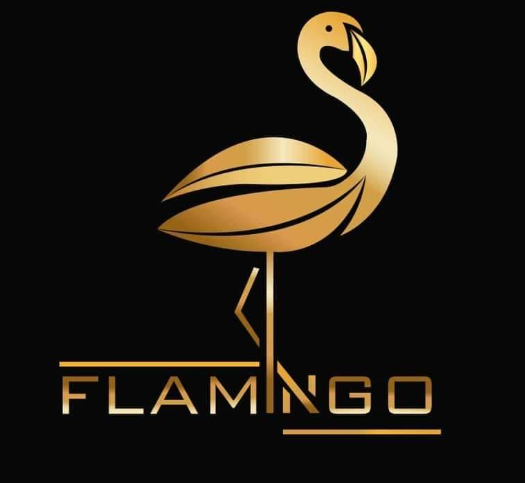 فلامنجو  Flamingo
