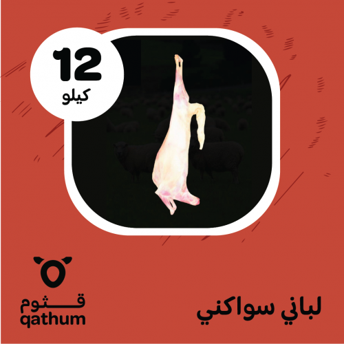 لباني سواكني 12 كيلو