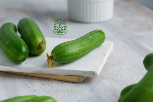 Organic Cucumber - خيار عضوي