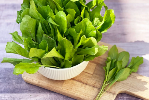 Organic Local Ruccula - جرجير بلدي عضوي