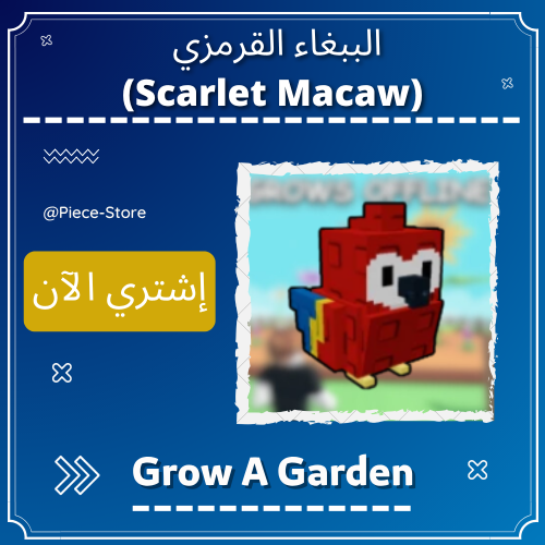 الببغاء القرمزي (Scarlet Macaw)