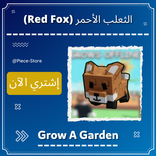 الثعلب الأحمر (Red Fox)