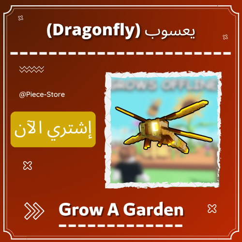 اليعسوب (Dragonfly) + ترليون (1T) شيكل هدية