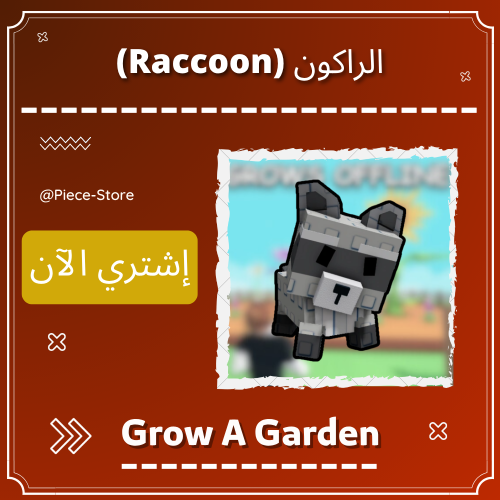 الراكون (Raccoon) + ترليون (1T) شيكل هدية