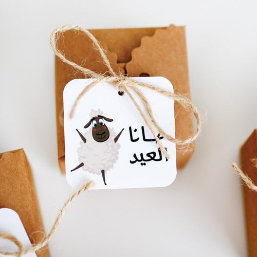10 حبات علب توزيعات عيديات عيد الأضحى