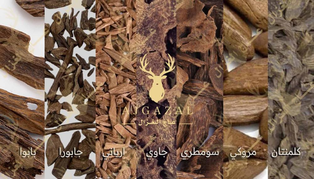 انواع العود و مسميات اهل العود - دليل شامل ومختصر