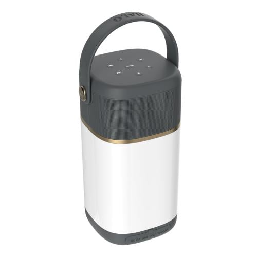 مكبر صوت رمادي