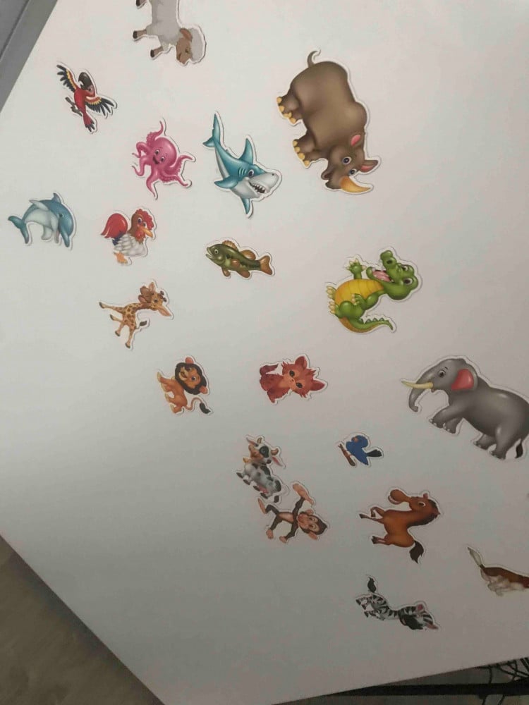 لعبة تعليمية على شكل قالب بولتاك المغناطيسي