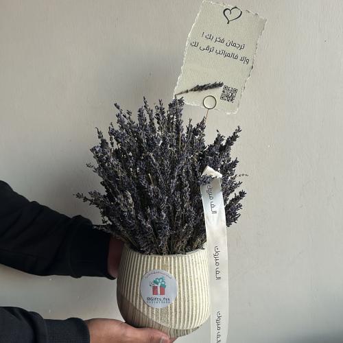 فازة لافندر مجفف - Lavender vasa