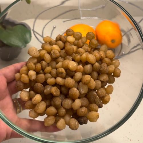 بذور الأكبي الأفريقية الأصلية