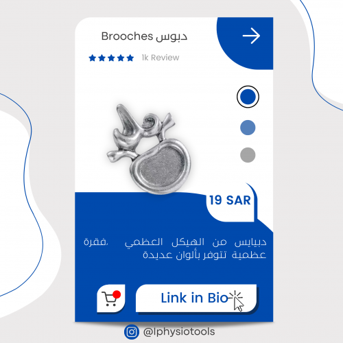 بروش فقرة (بألوان مختلفة)