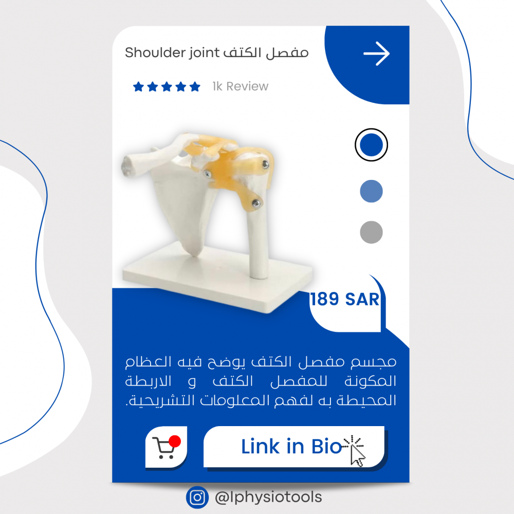 مجسم كتف