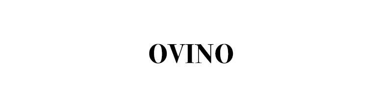 OVINO