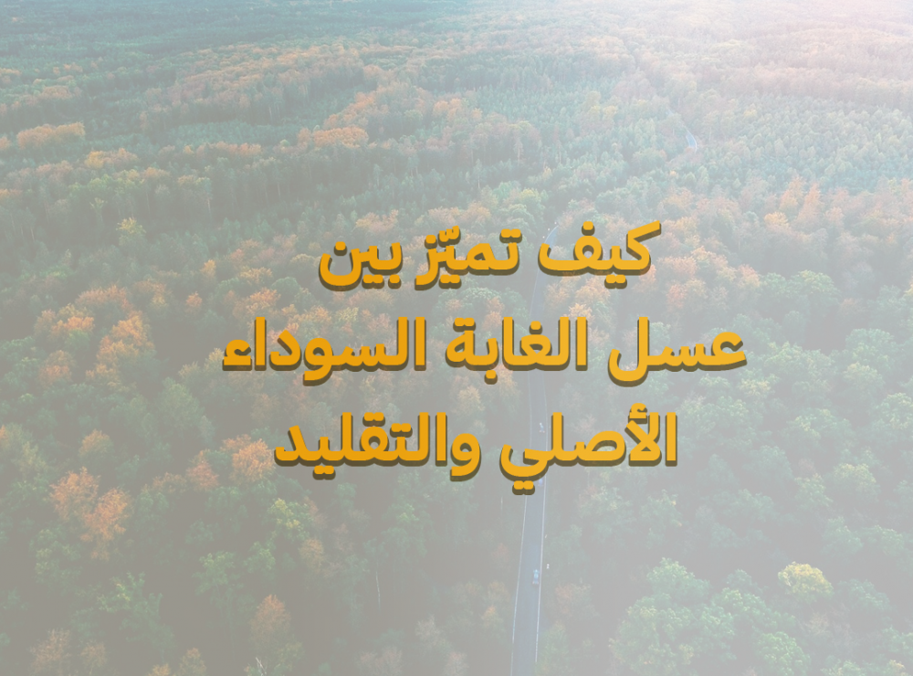 كيف تميّز بين عسل الغابة السوداء الأصلي والتقليد