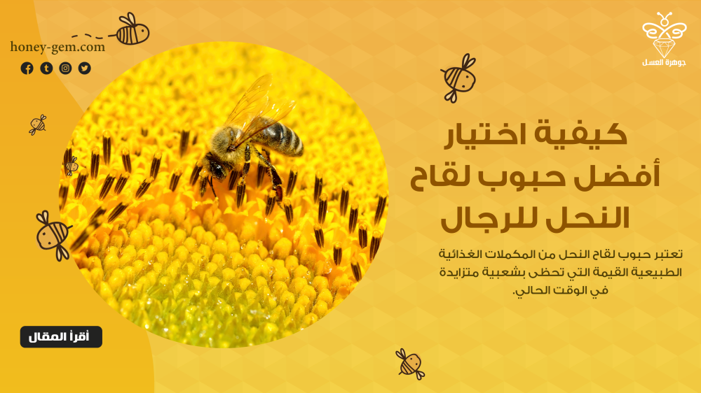 كيفية اختيار أفضل حبوب لقاح النحل للرجال