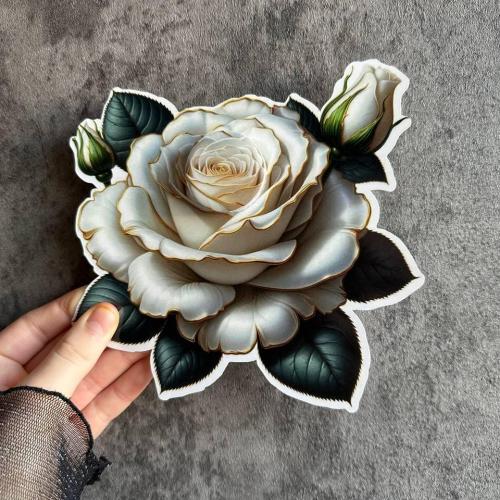 تصاميم لتوزيعات الكريمات اقل عدد لطلب 20 حبه
