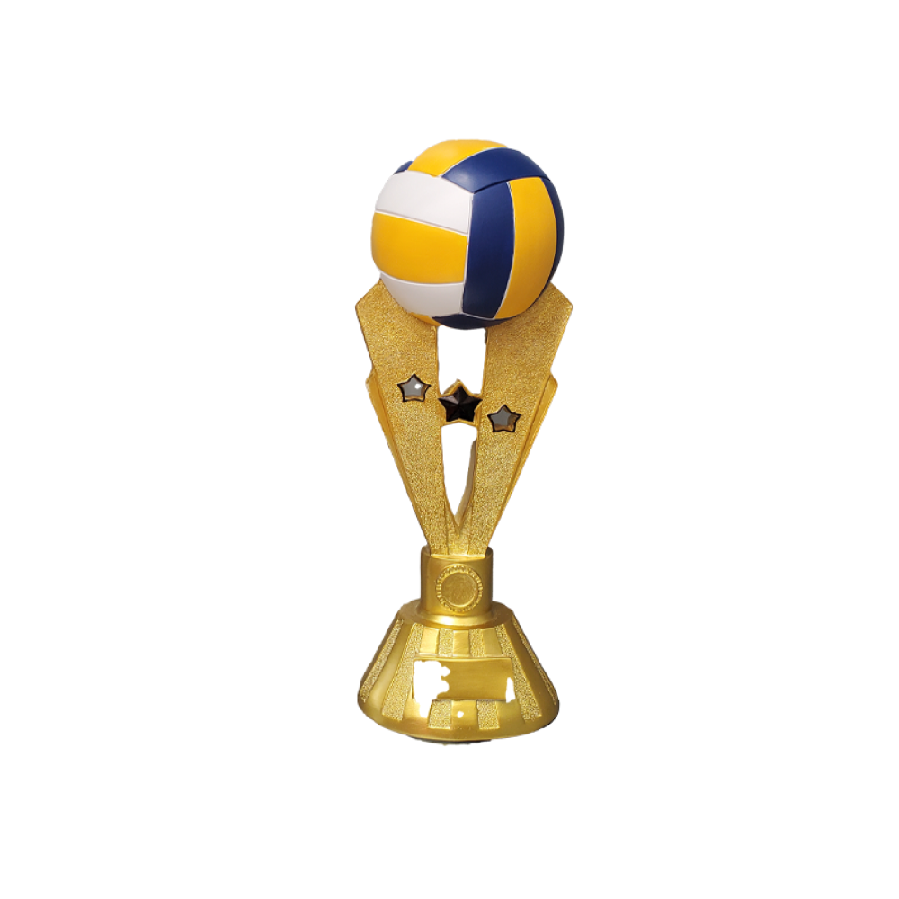 كاس كرة الطائرة