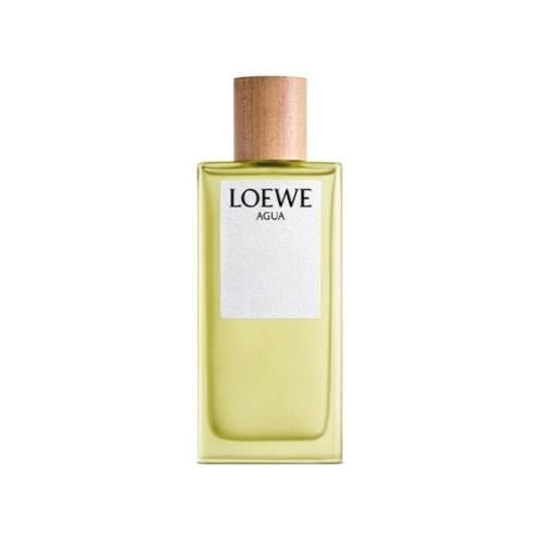 Loewe Solo Mercurio Eau De Parfum 100 ml - Vanilla Perfumes