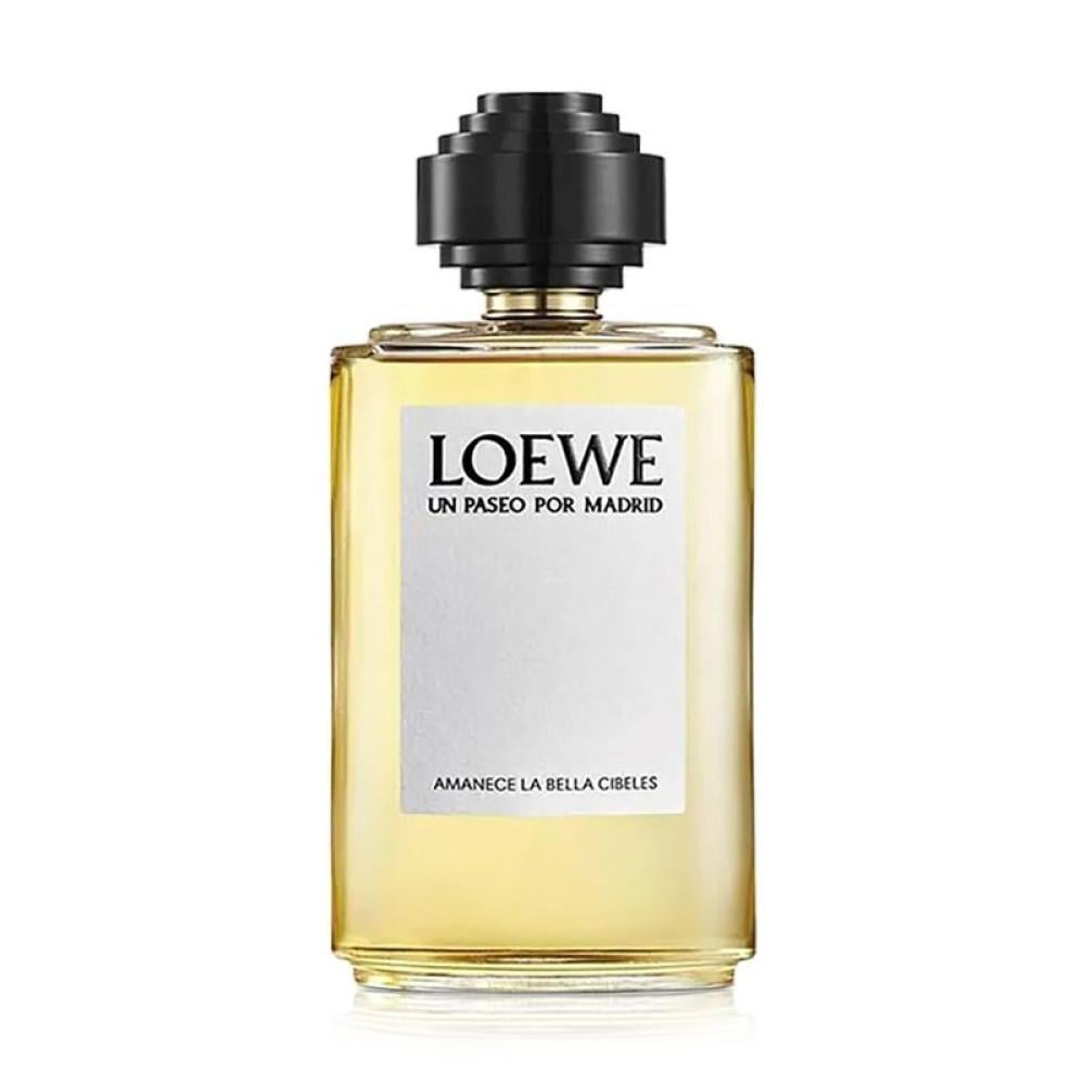 LOEWE UN PASEO POR MADRIDラ べジャ シベレス 100m