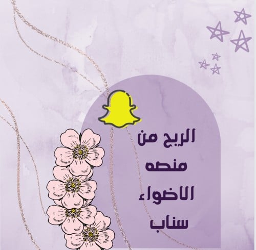 الربح من منصه الاضواء سناب