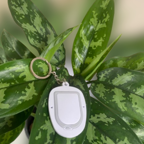 ميدالية مضخة اومنيبود