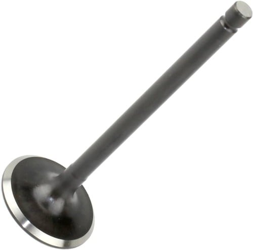 Raptor 700 exhaust valve OEM