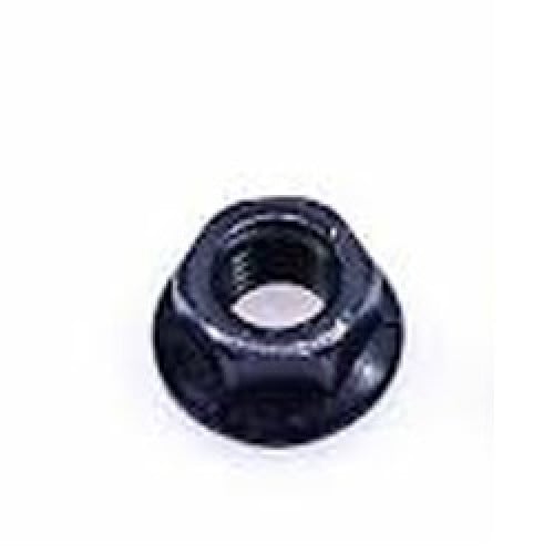 صامولة راس بانشي وكالة