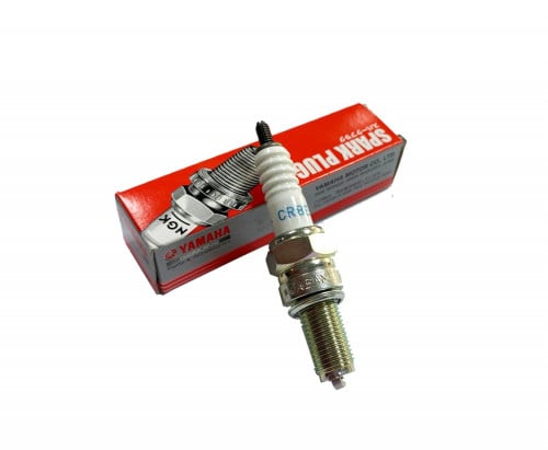 بوجي رابتر وكالة