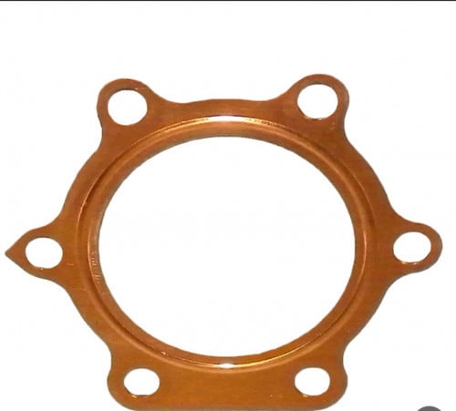 وجة راس بلاستر وكالة