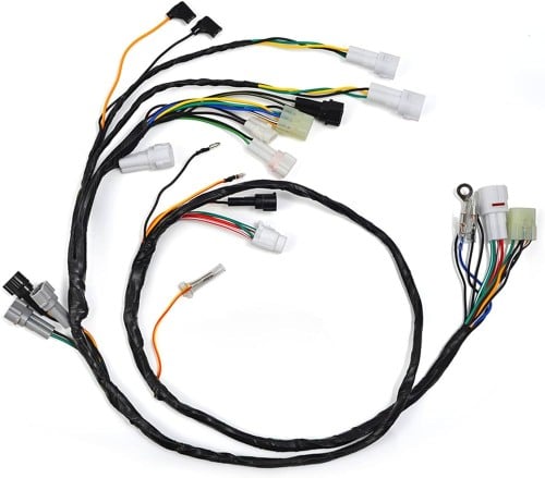 ضفيرة بانشي وكالة