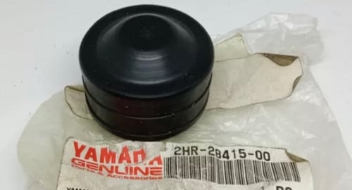 ربلة دعامية بلاستر للحبة