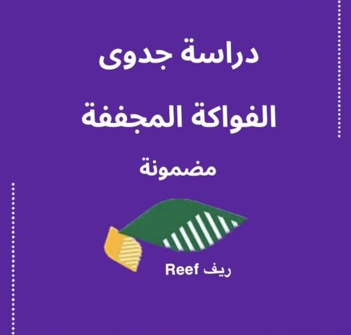 دراسة جدوى دعم ريف