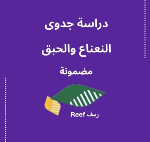 دراسة جدوى دعم ريف