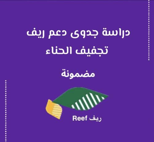 دراسة جدوى تجفيف الحناء